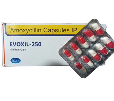 Antibiotics Evoxil 250 mg Amoxil Leeford