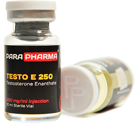 Injectable Steroids TESTO E 250 mg Testosterone Enanthate Para Pharma