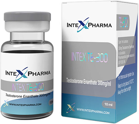 Injectable Steroids INTEX TE 300 mg Testosterone Enanthate Intex Pharma