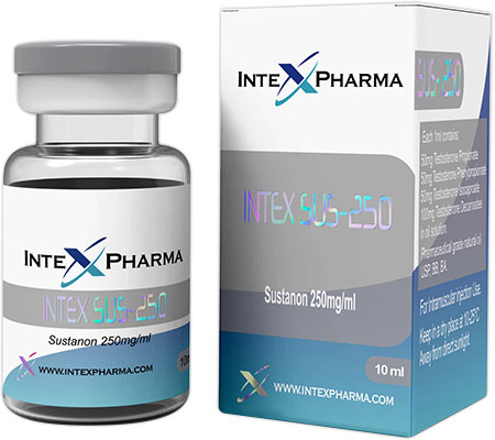 Injectable Steroids INTEX SUS-250 Sustanon (Testosterone Blend) Intex Pharma