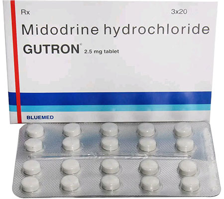 Blood Pressure Gutron 2.5 mg Gutron Cipla